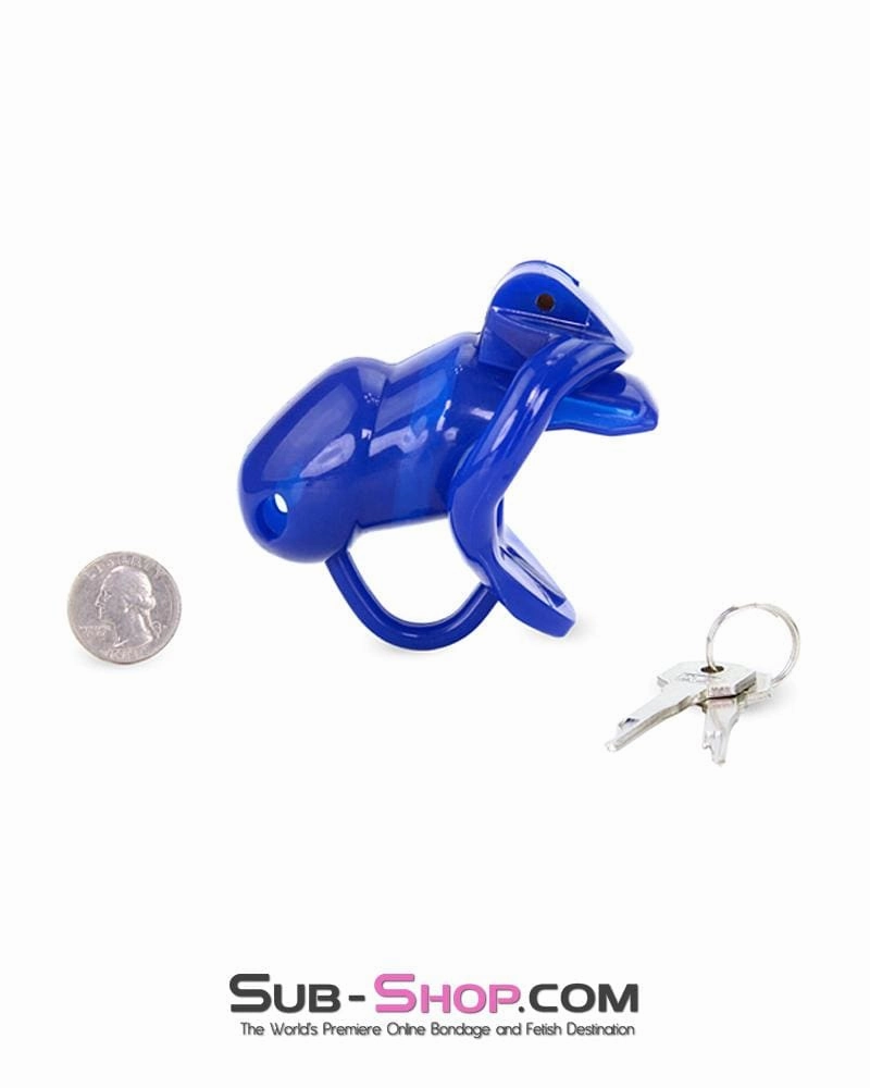 1386AR-SIS      Sissy Cocktease Blue Balls High Security Locking Male Chastity Device with Ball Divider