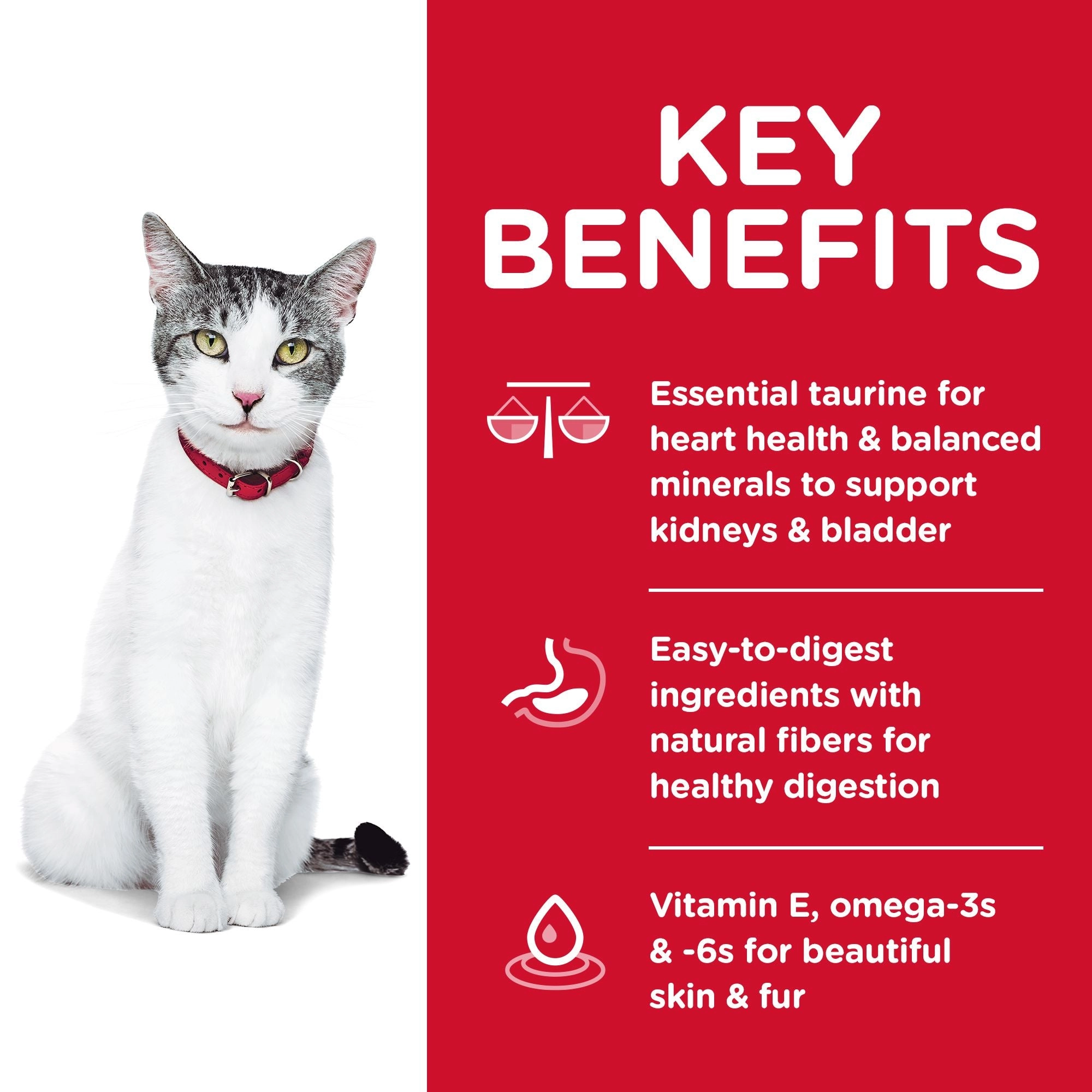 Hill's Science Diet Senior 11  Dry Cat Food, Chicken Recipe