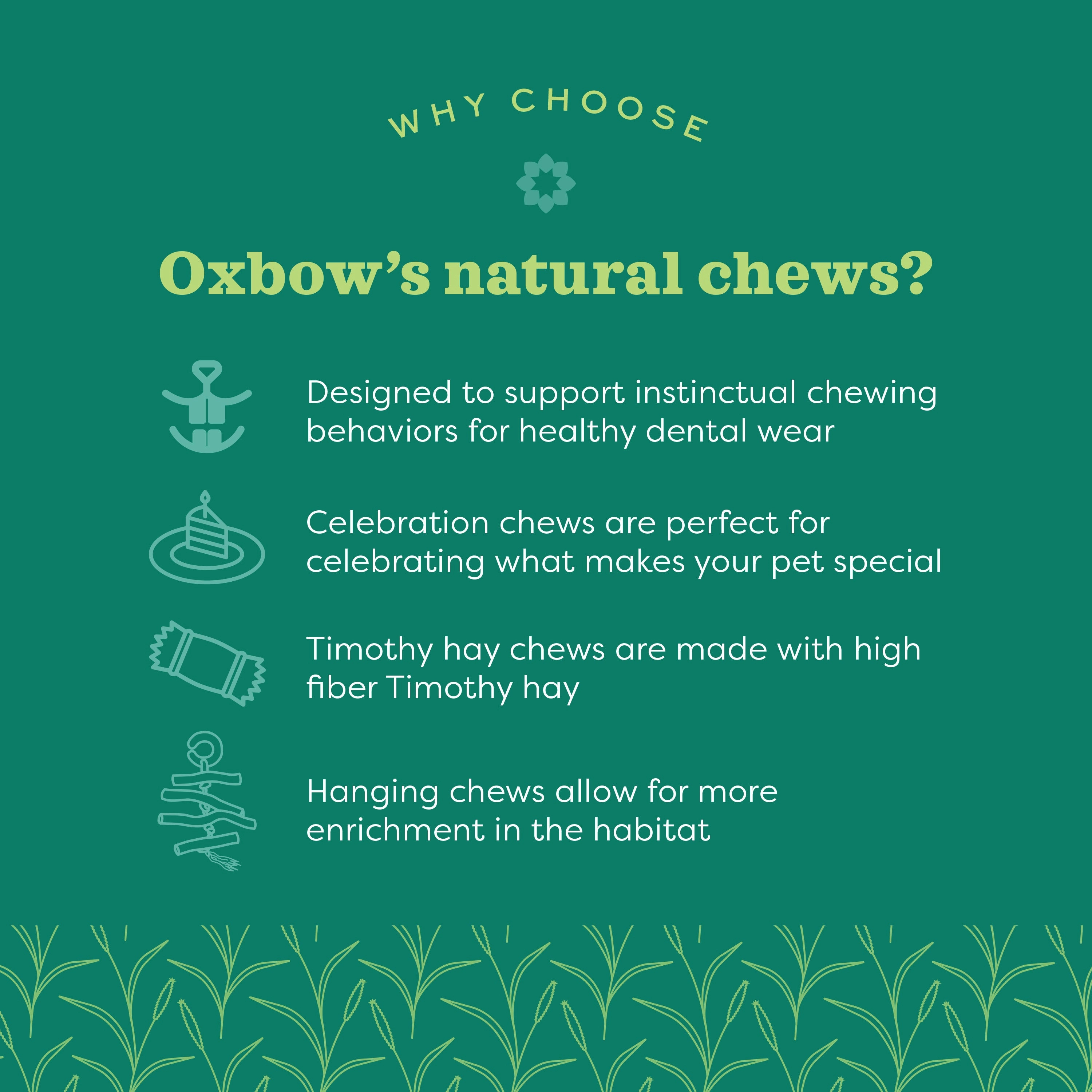 Oxbow Animal Health Apple Stick Bouquet